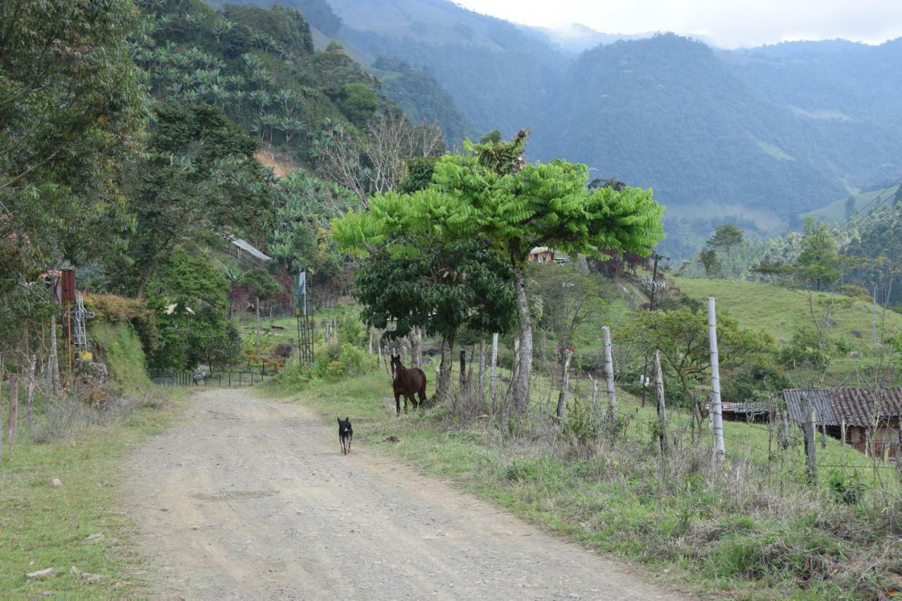 Creo Ecolodge Jardín Extérieur photo